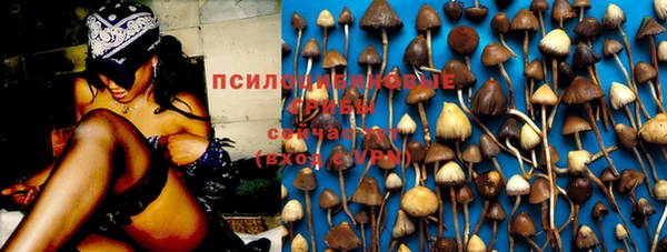 гашиш Белокуриха