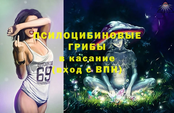 трава Сосновоборск