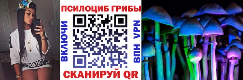 Галлюциногенные грибы Psilocybine cubensis  Ершов 