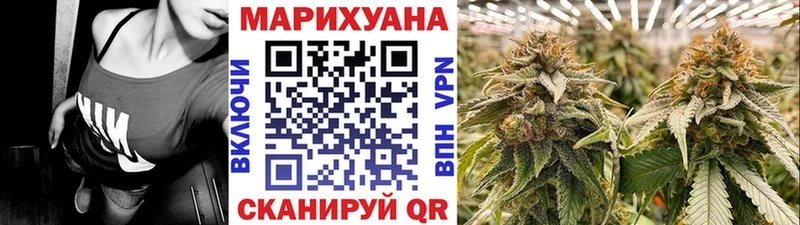 где можно купить Ершов Марихуана конопля